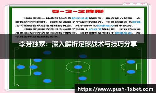 李芳独家：深入解析足球战术与技巧分享